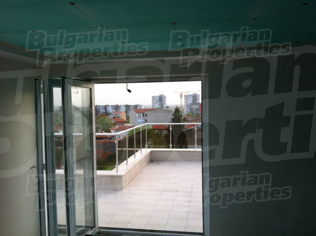 Gallery Picture 49