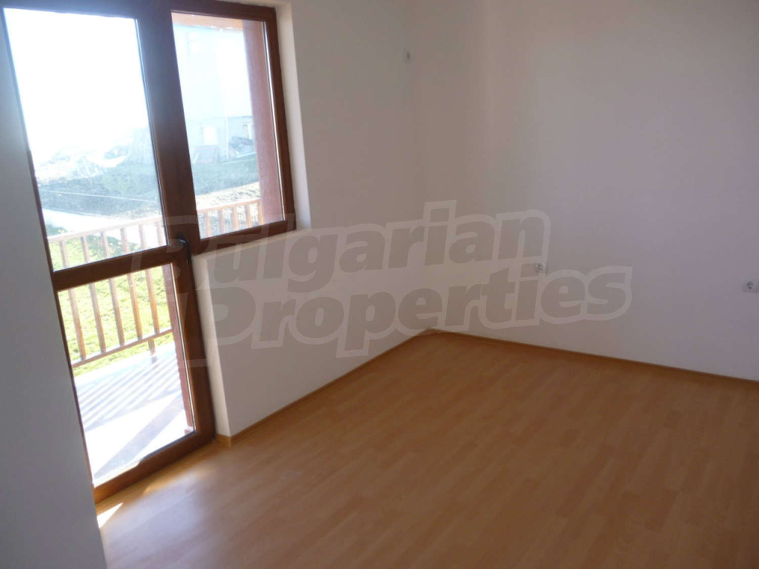 Gallery Picture 43