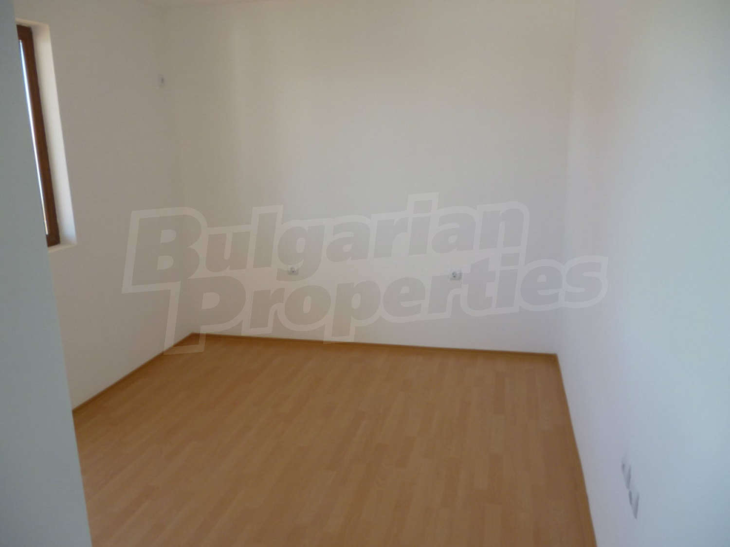 Gallery Picture 44