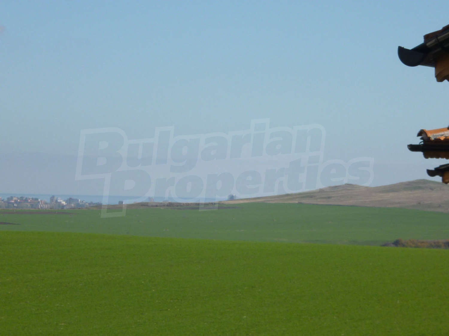 Gallery Picture 55