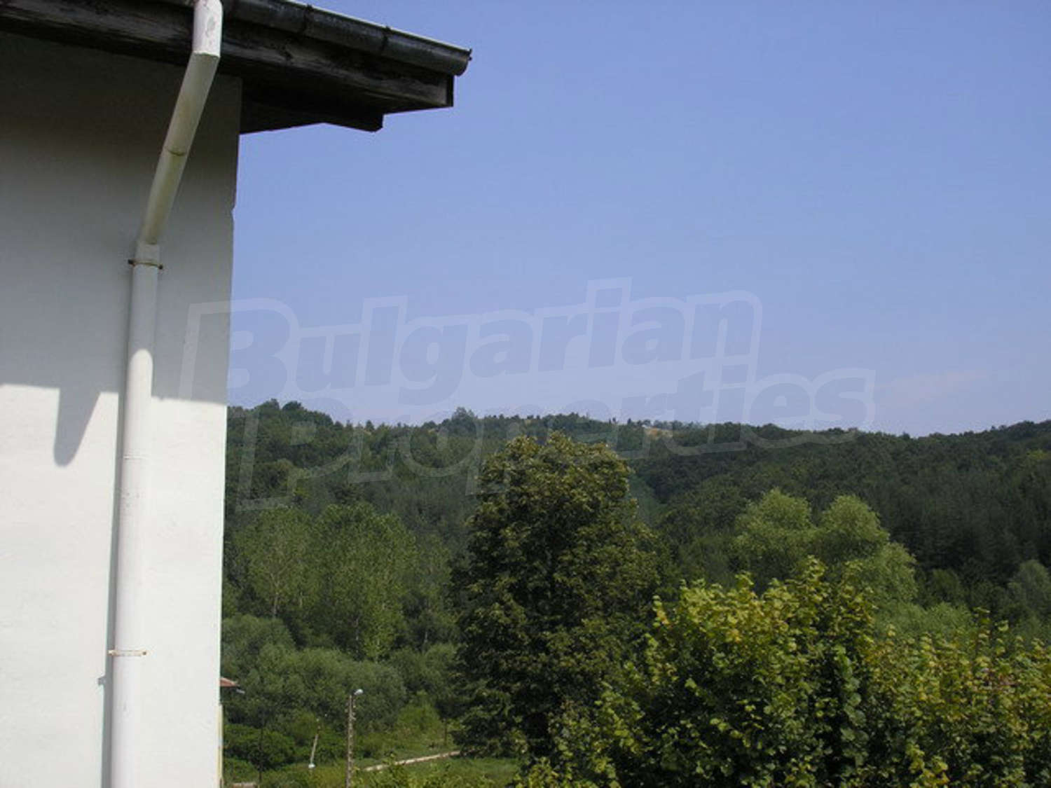 Gallery Picture 10