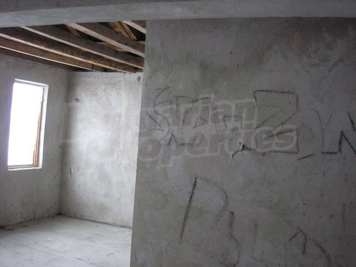 Gallery Picture 12