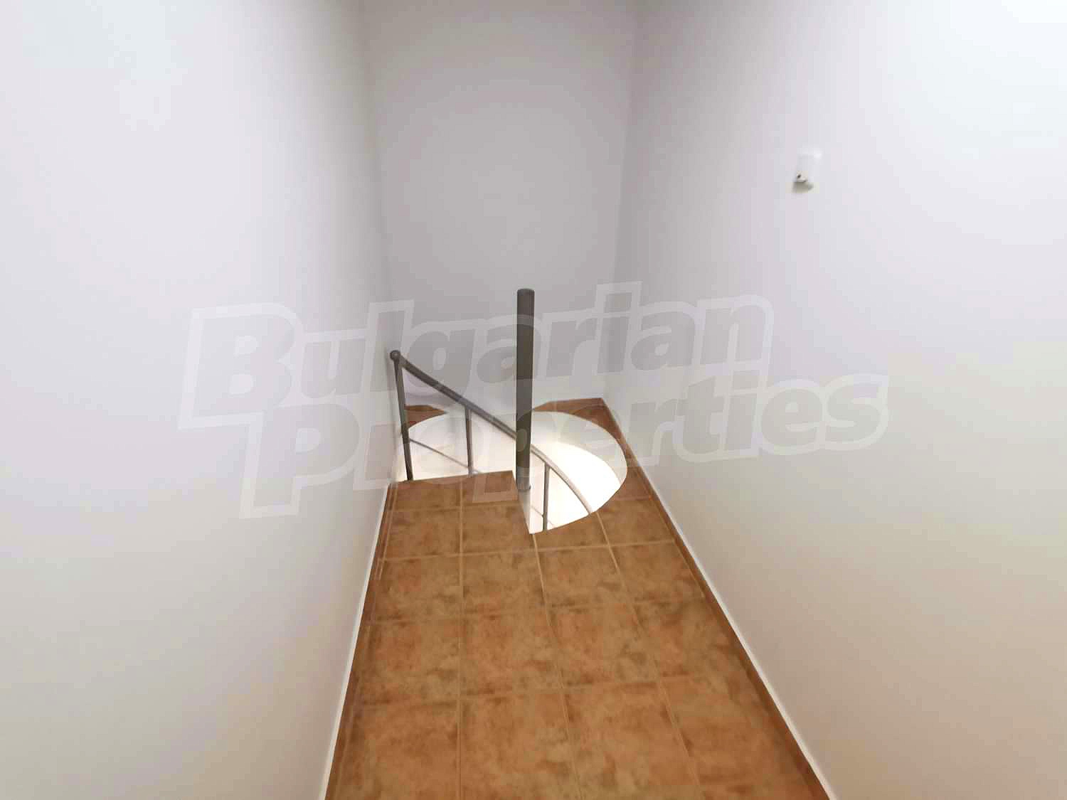 Gallery Picture 11