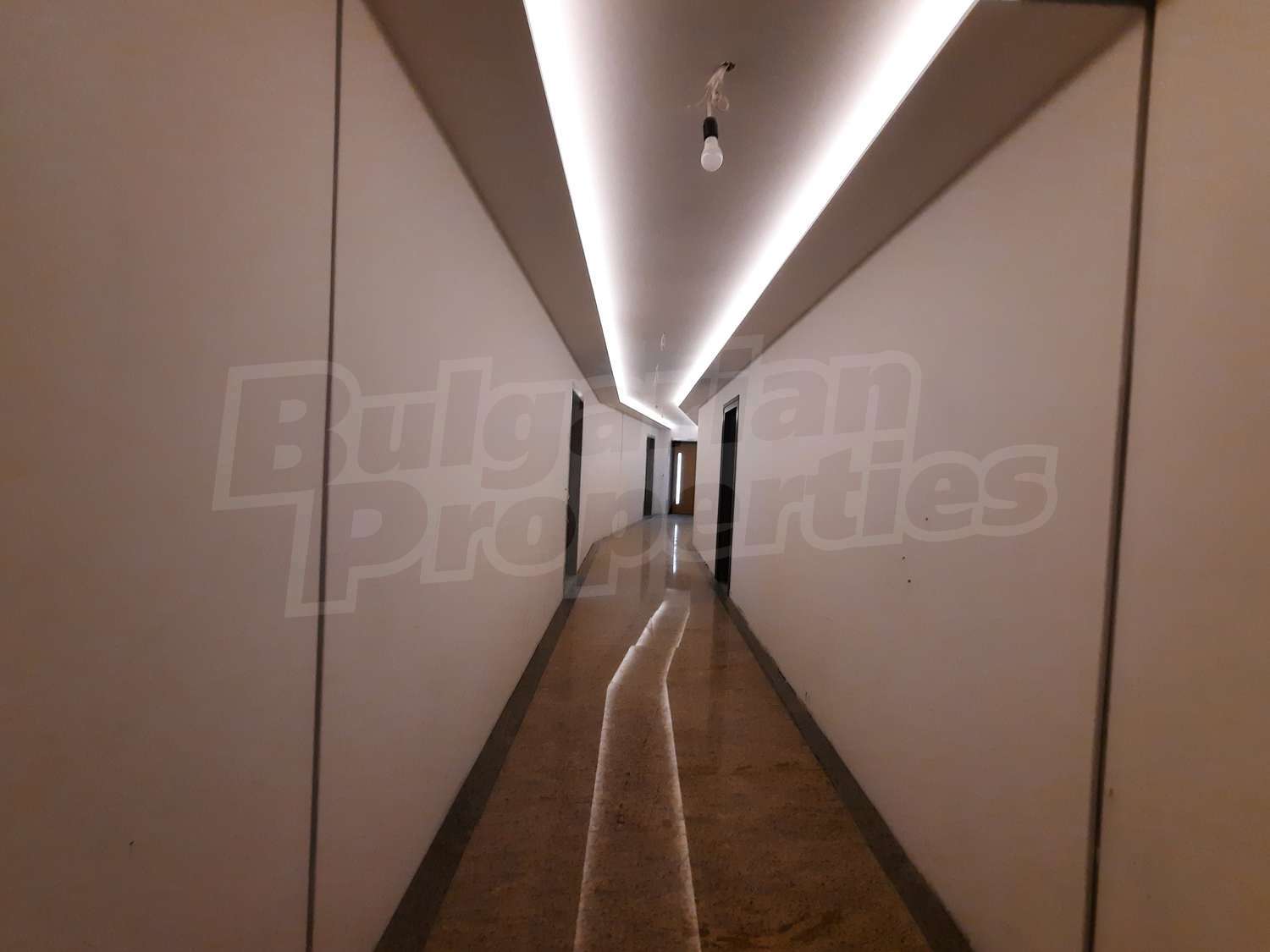 Gallery Picture 13