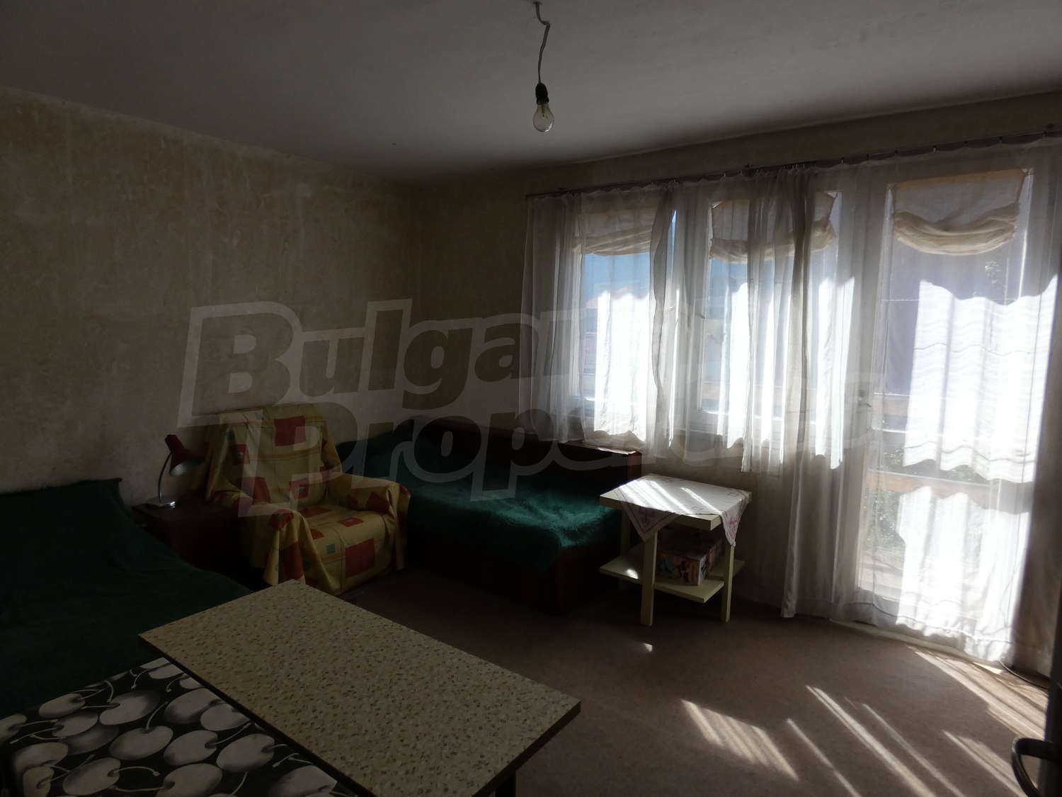 Gallery Picture 14