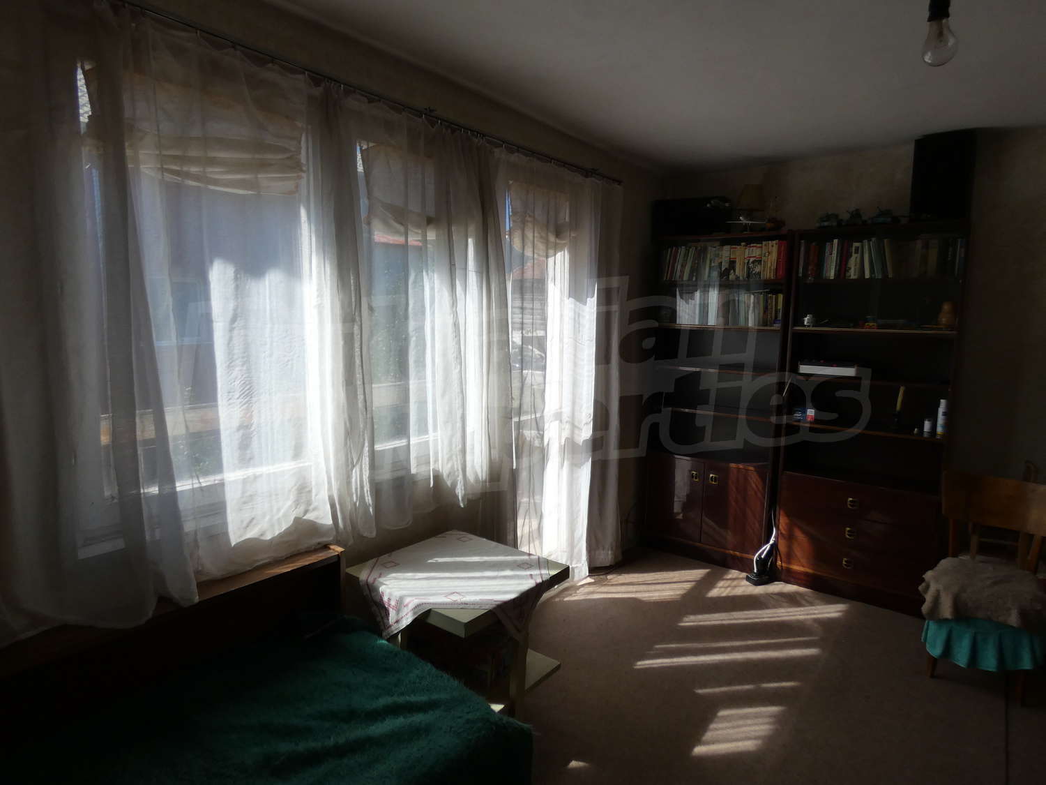 Gallery Picture 16