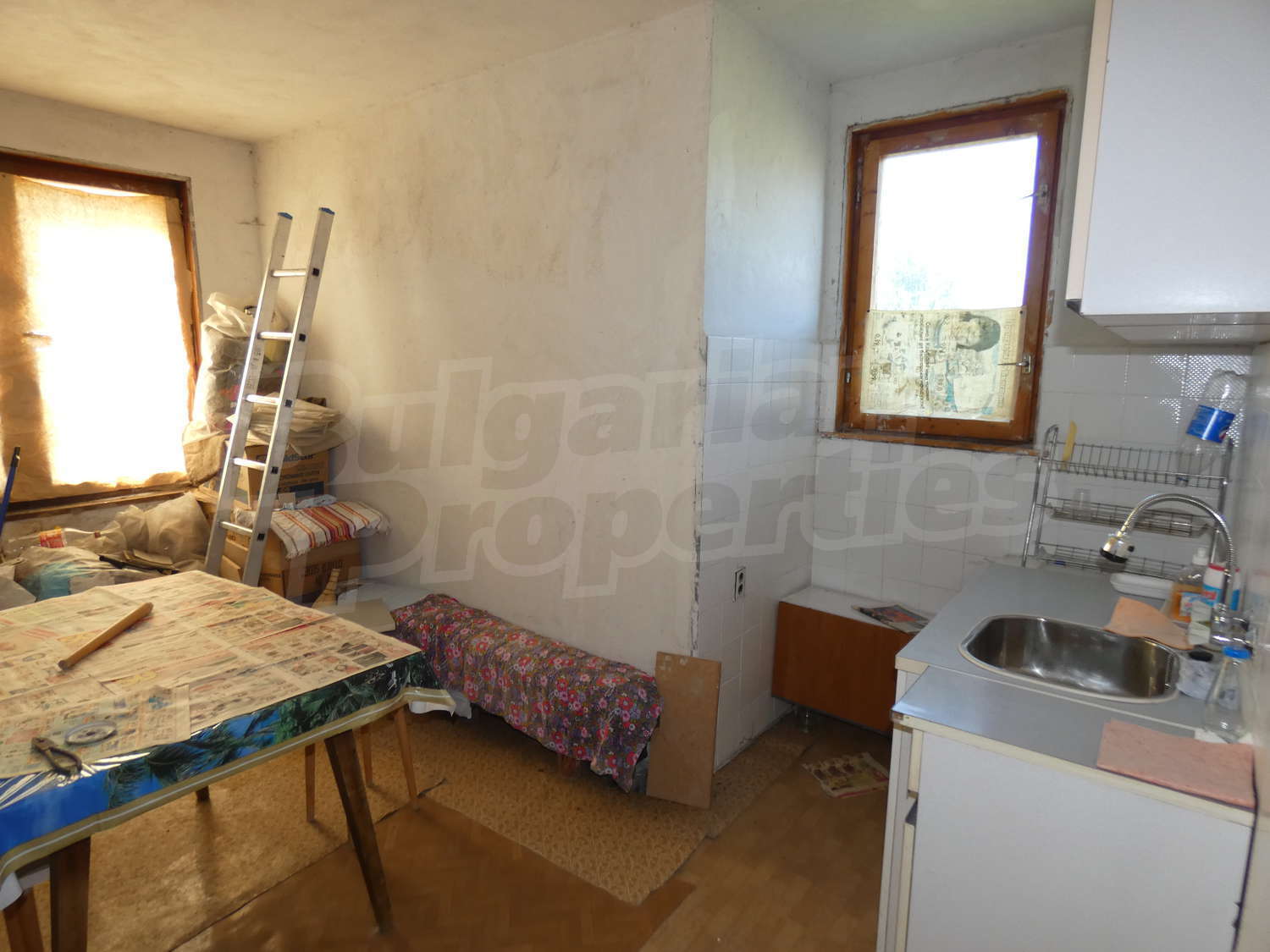 Gallery Picture 34
