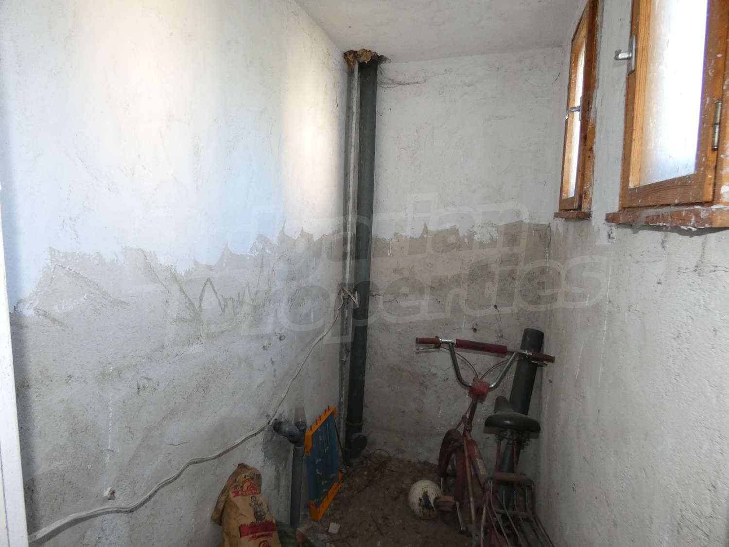 Gallery Picture 38