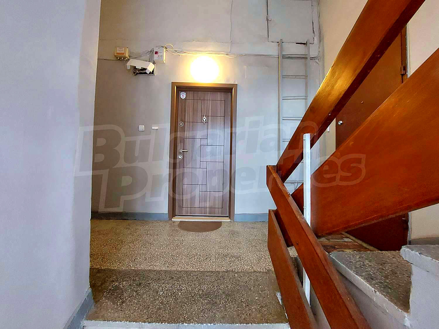 Gallery Picture 16