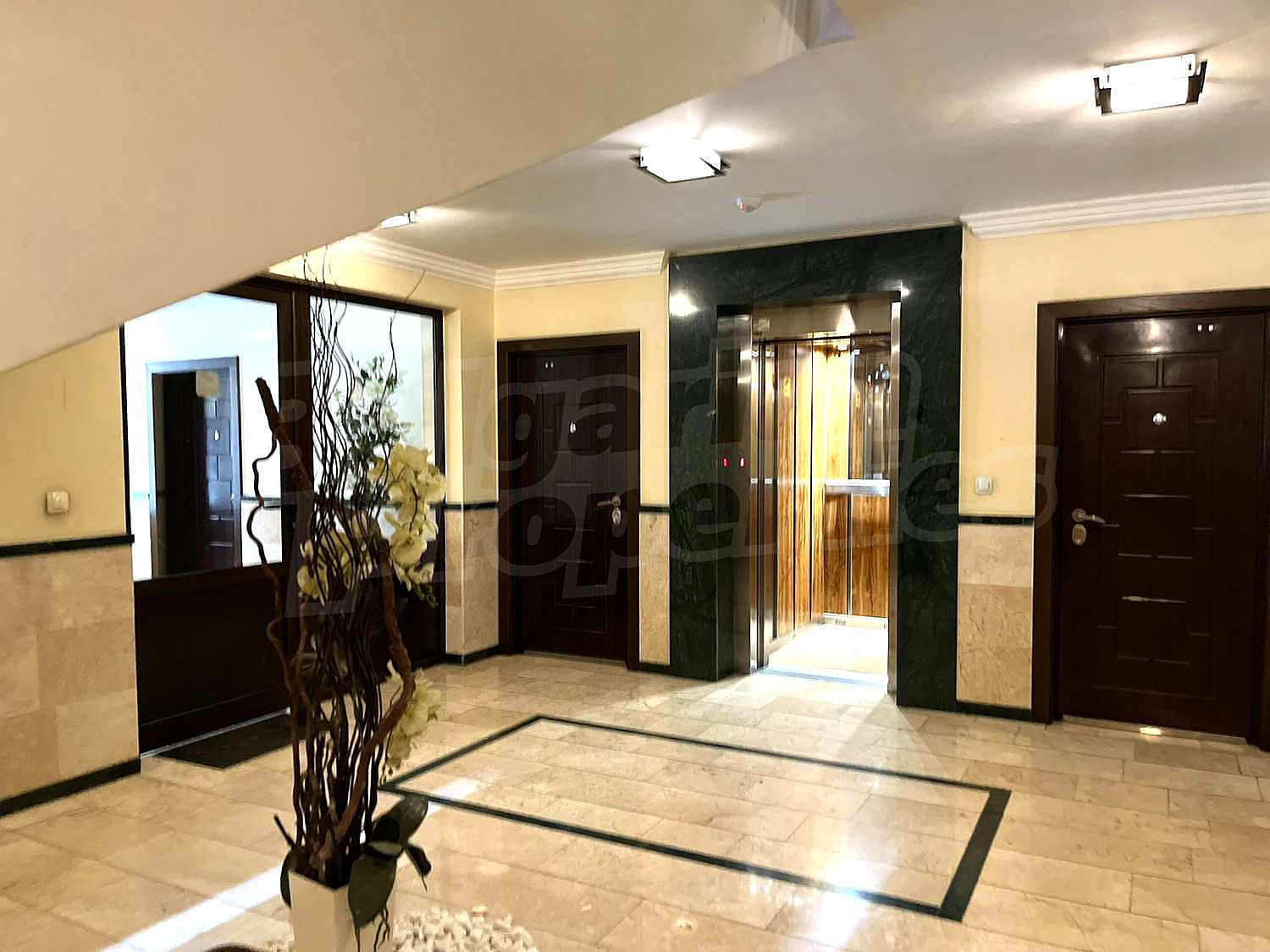 Gallery Picture 16