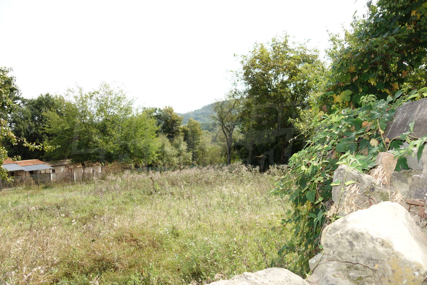 Gallery Picture 10