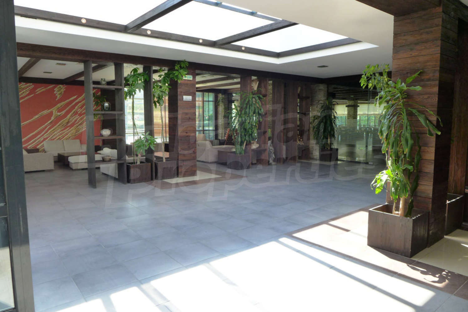 Gallery Picture 19