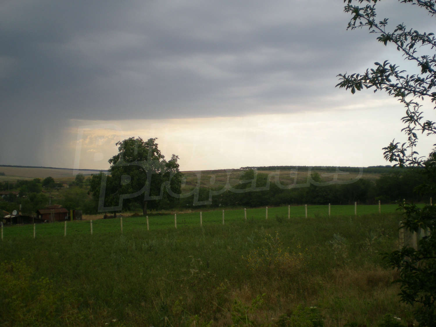 Gallery Picture 10