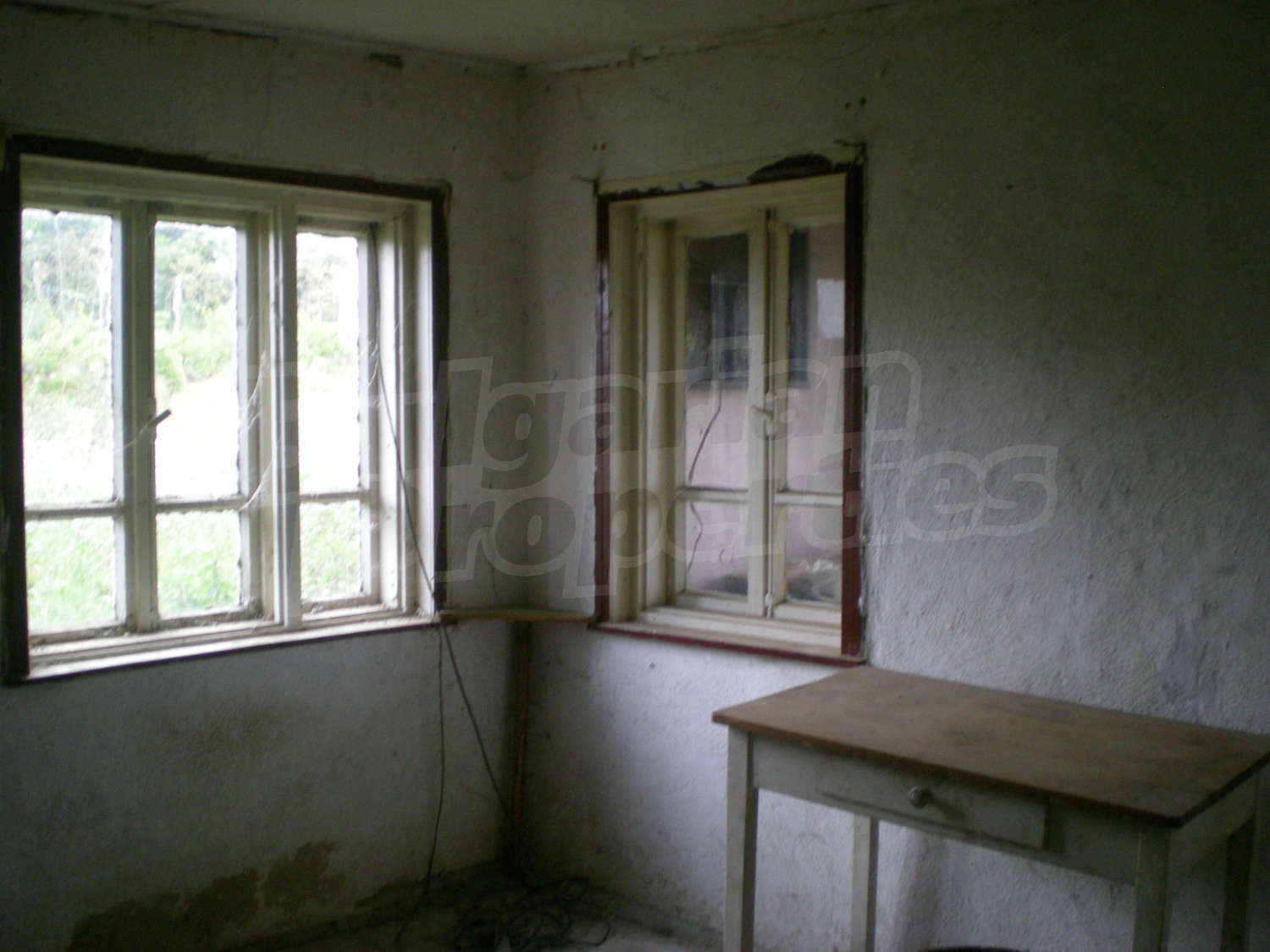 Gallery Picture 14