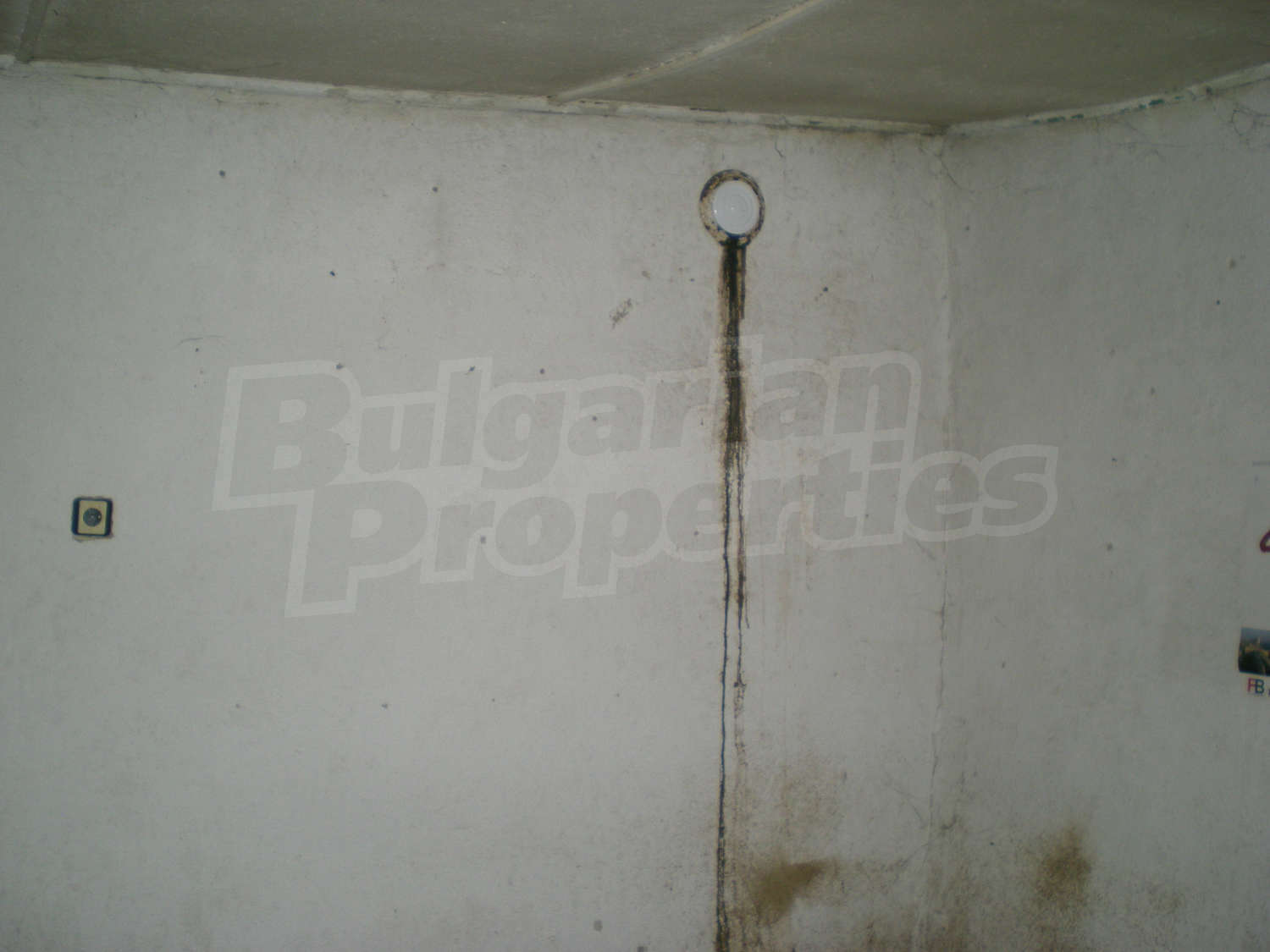 Gallery Picture 15