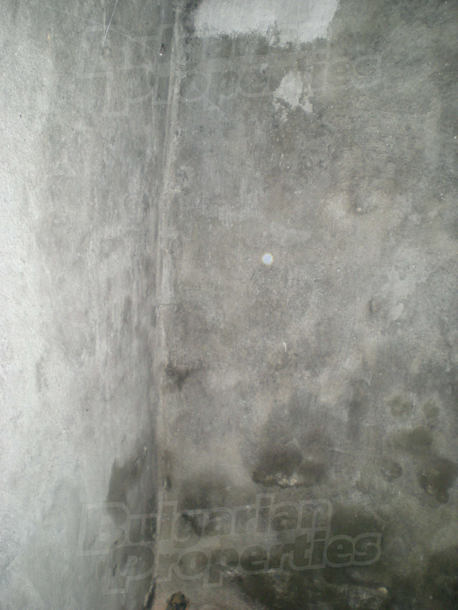Gallery Picture 17
