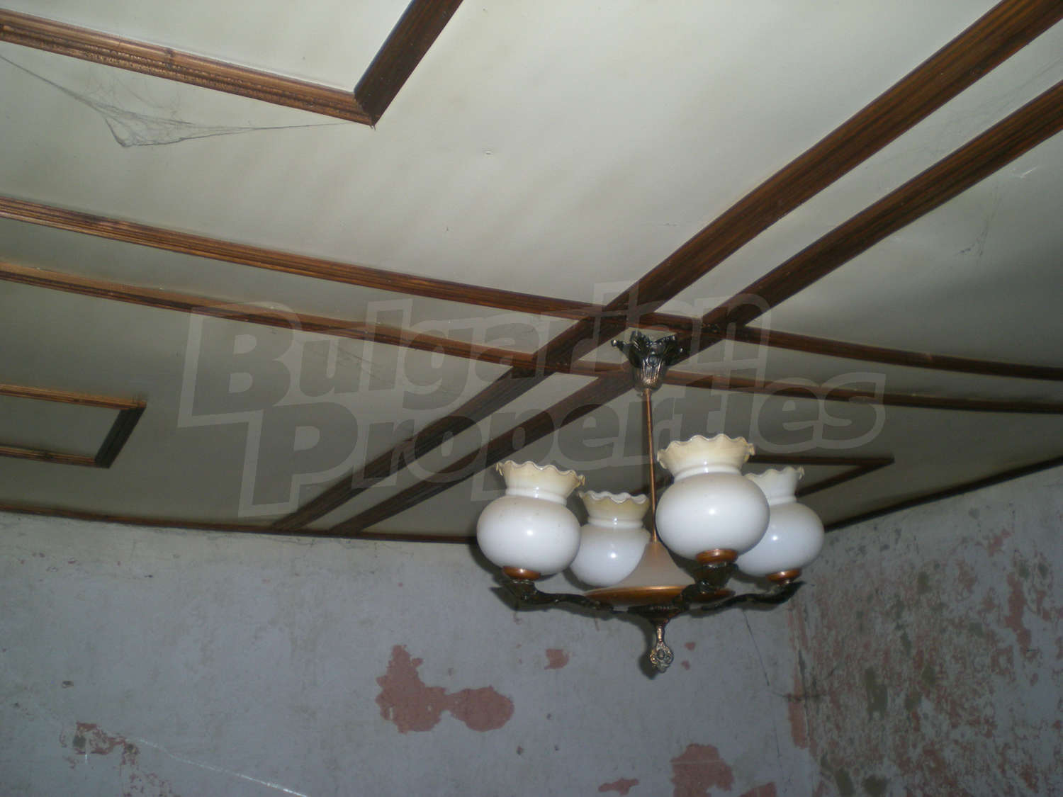 Gallery Picture 20