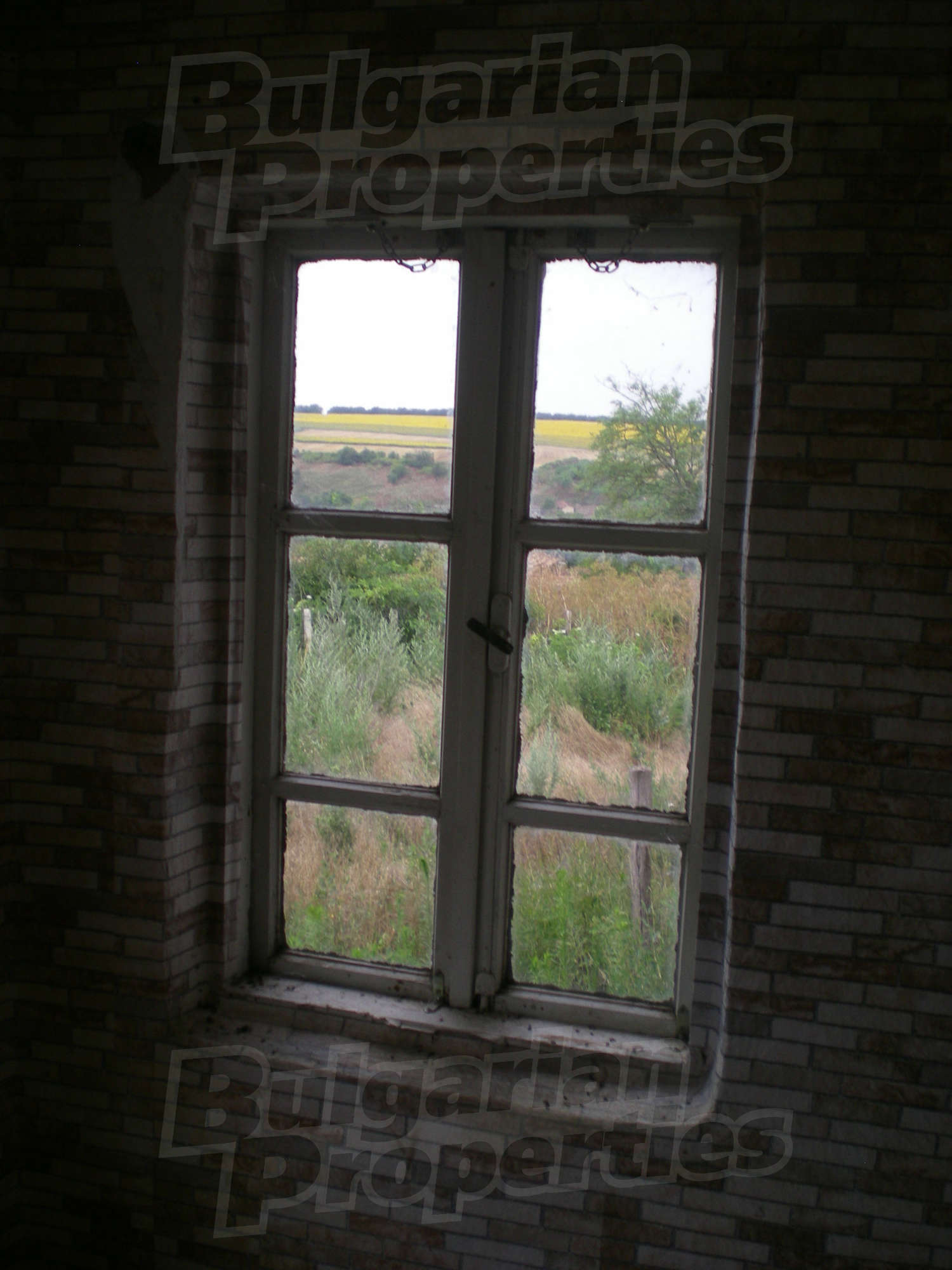Gallery Picture 22