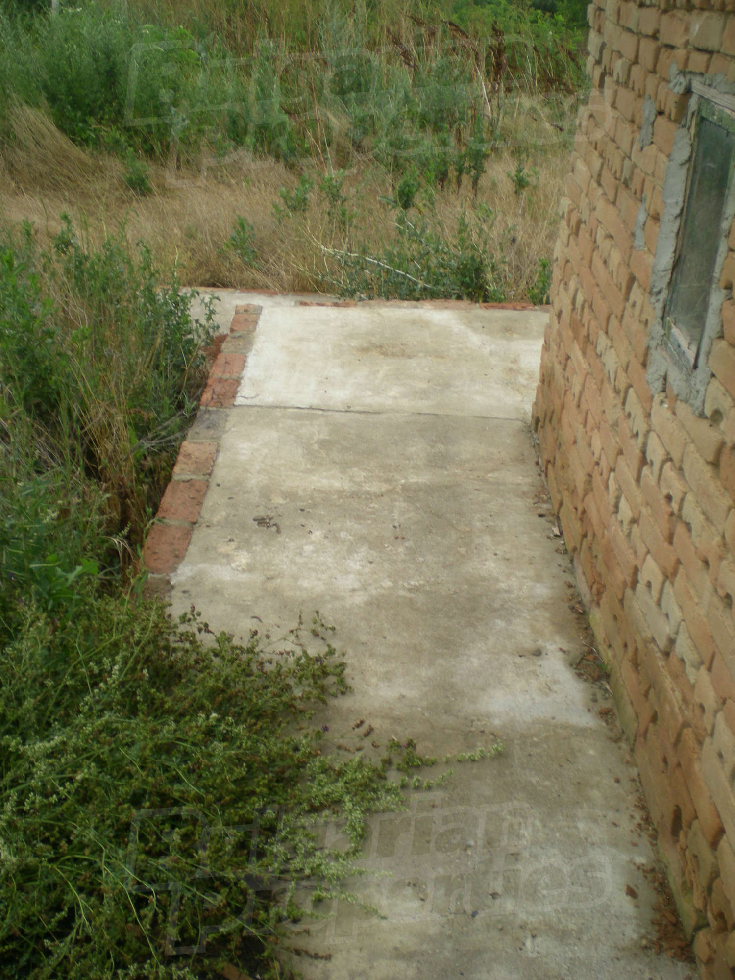 Gallery Picture 27
