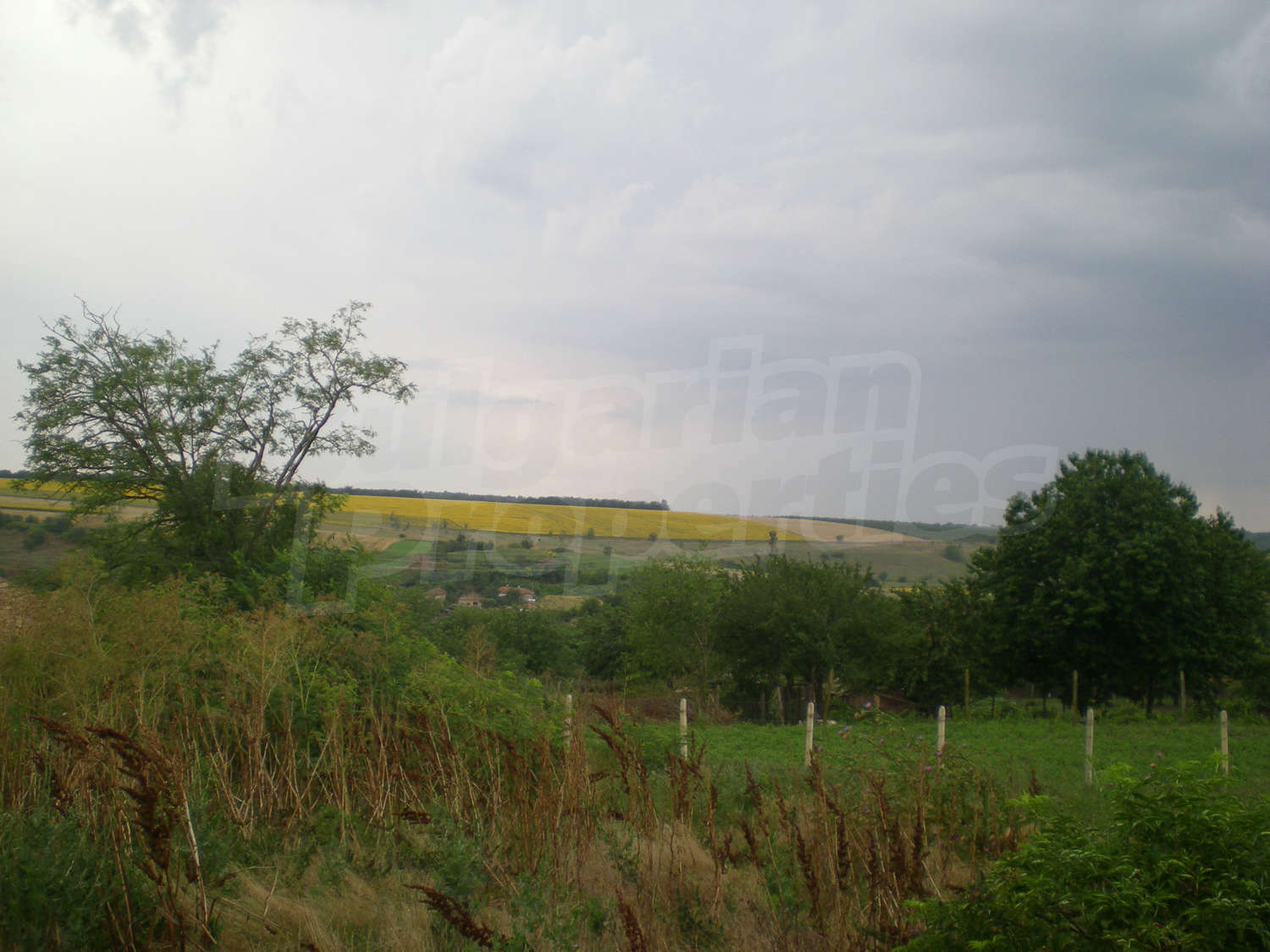 Gallery Picture 9