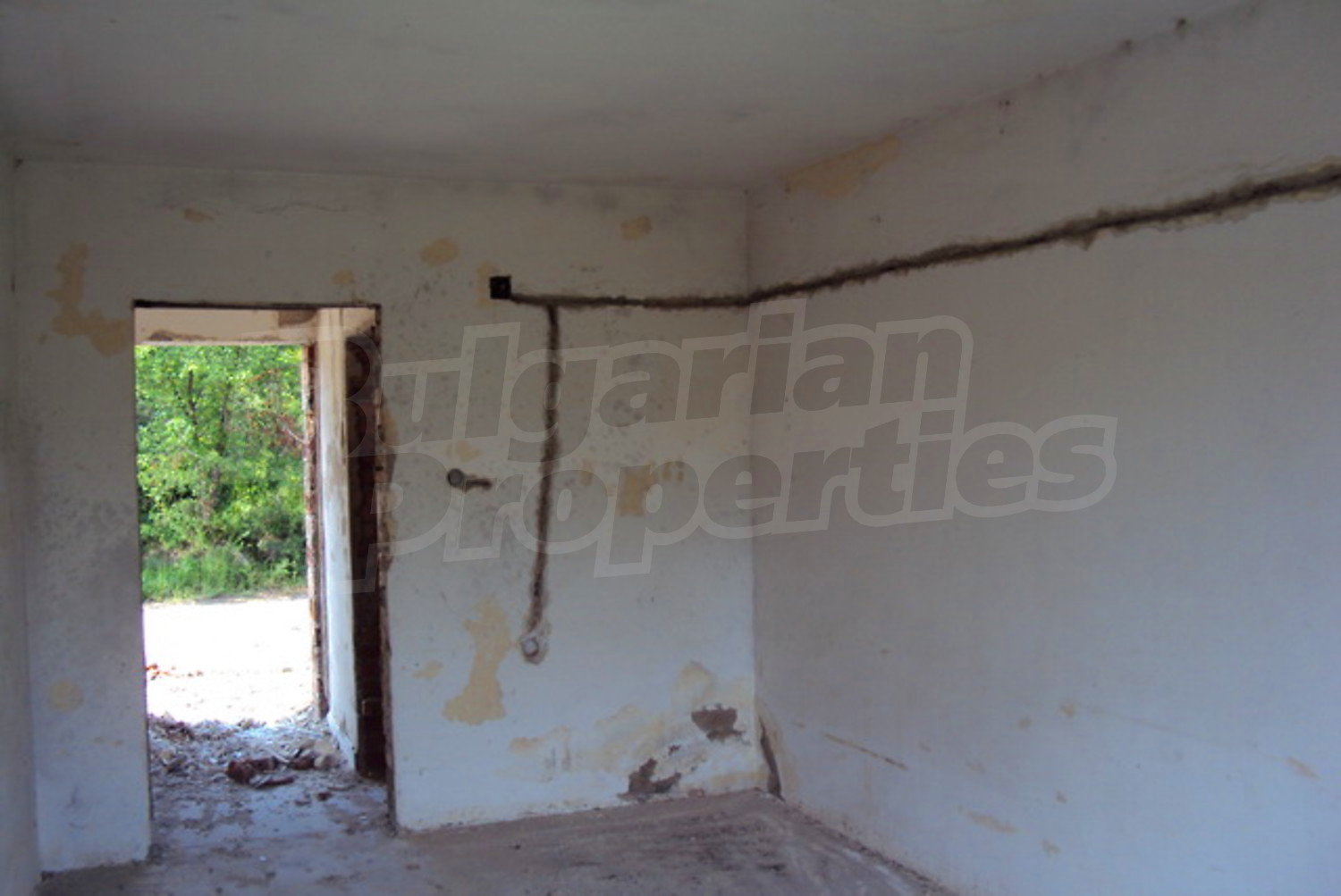 Gallery Picture 10