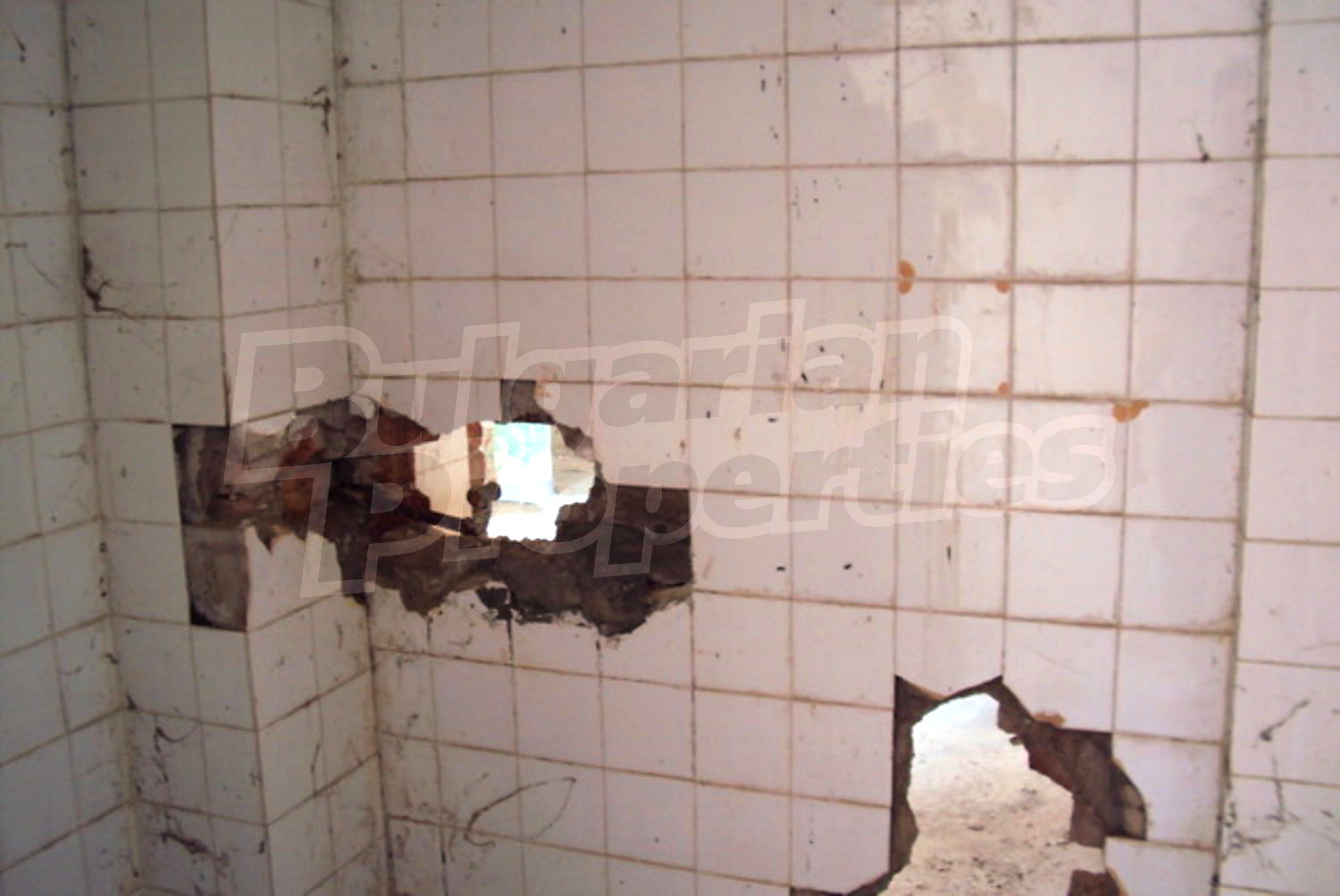 Gallery Picture 11