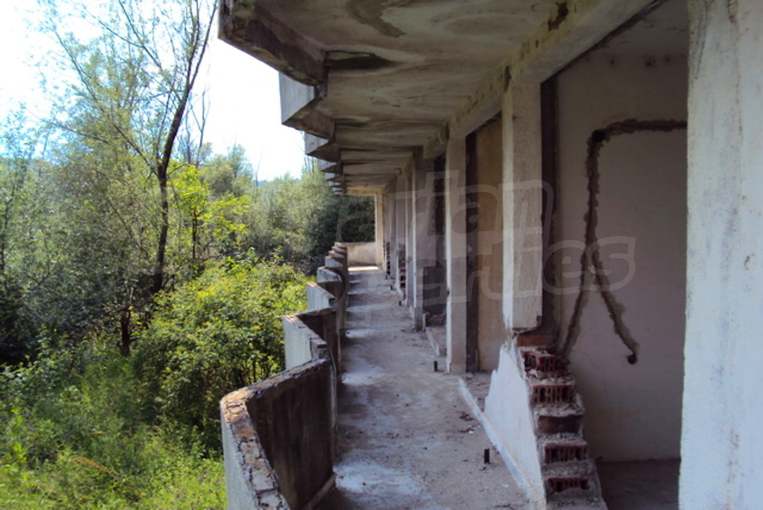 Gallery Picture 12