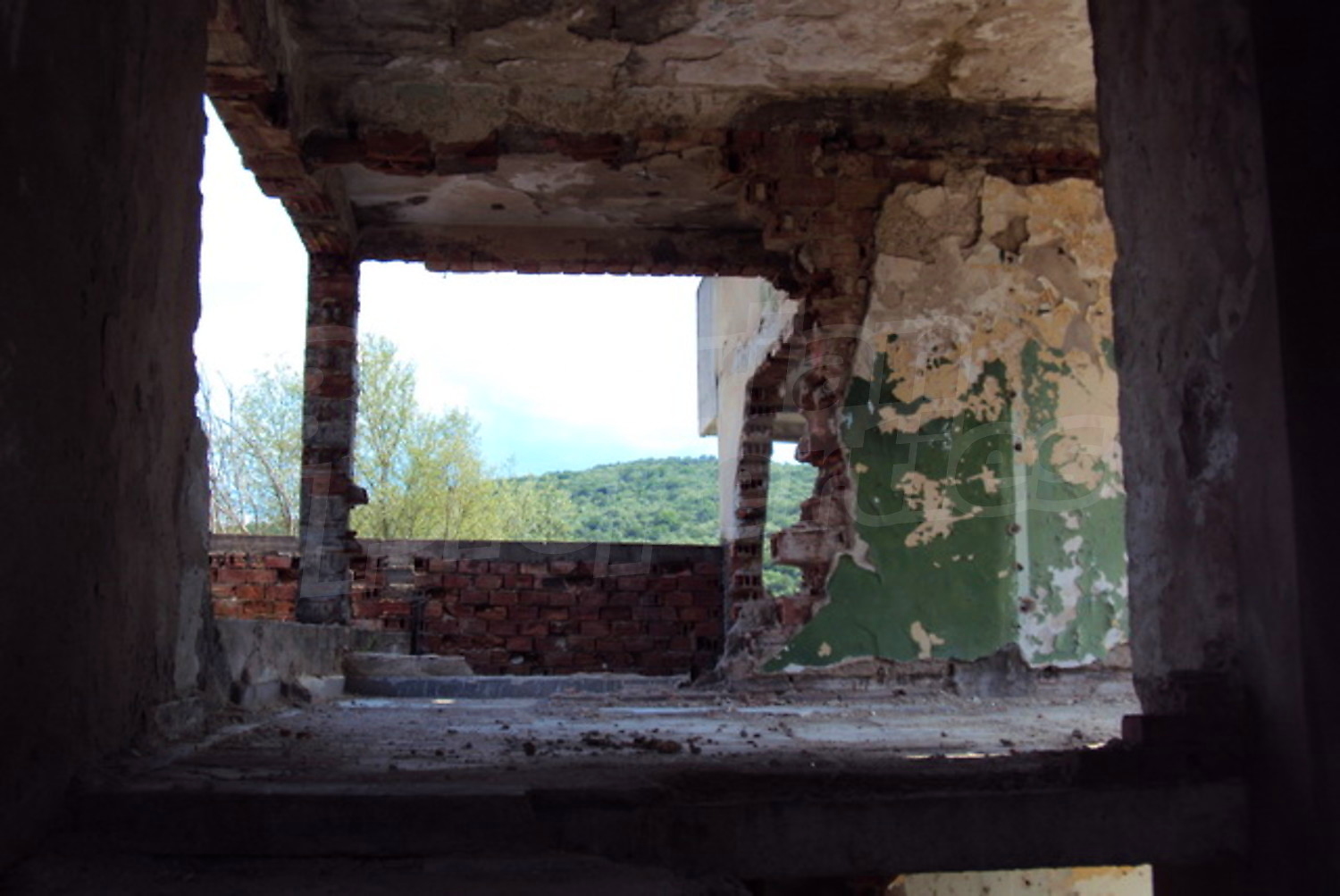 Gallery Picture 15