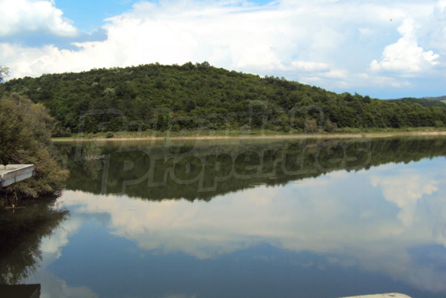 Gallery Picture 18