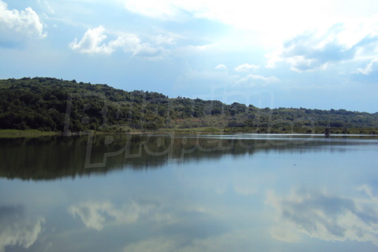 Gallery Picture 20