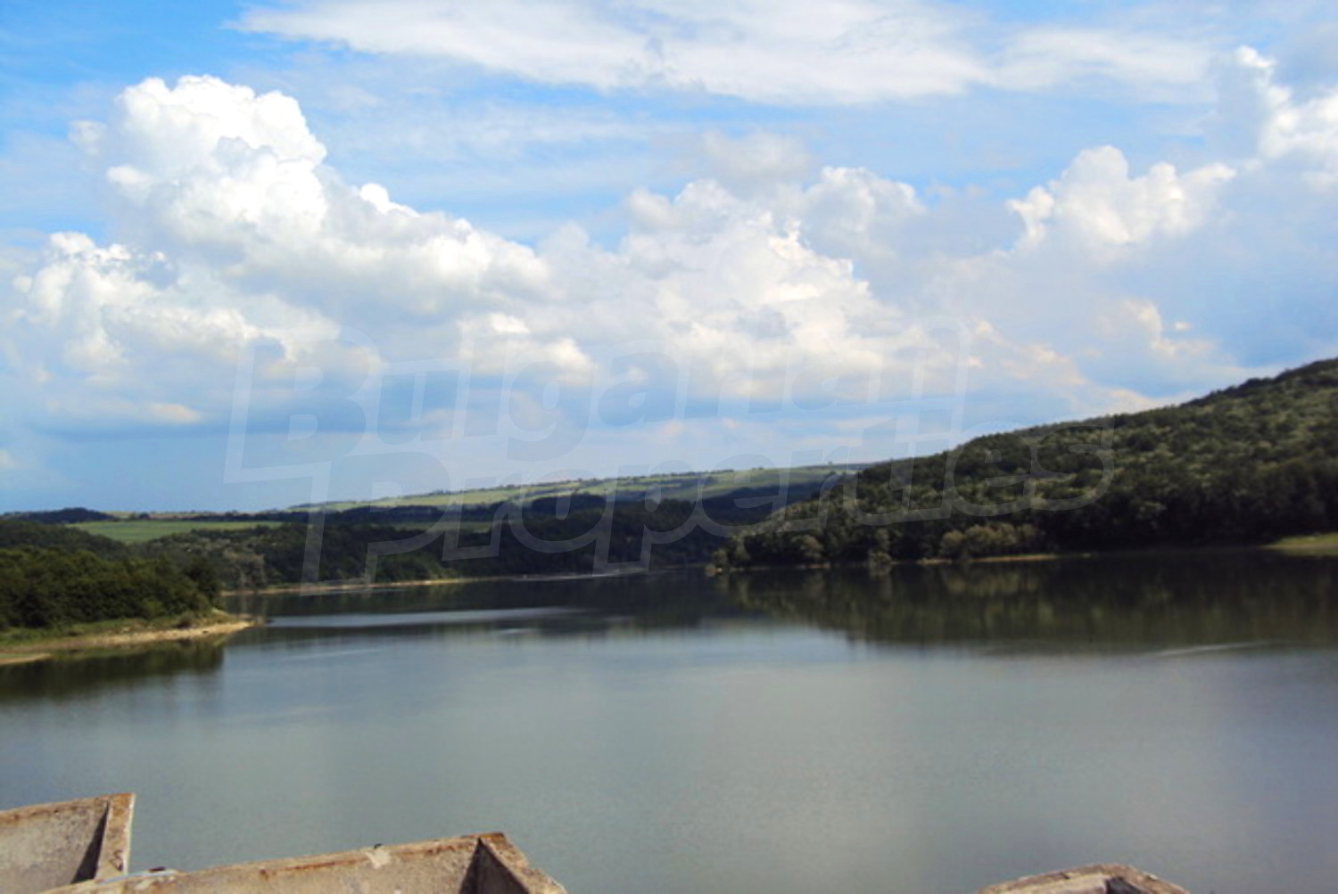 Gallery Picture 21