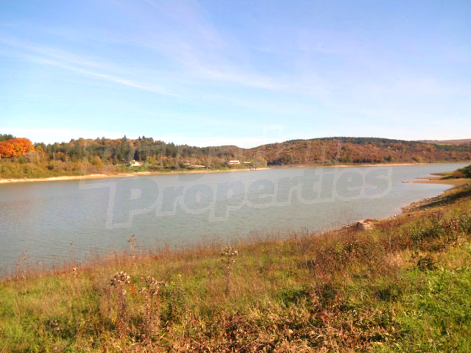 Gallery Picture 23