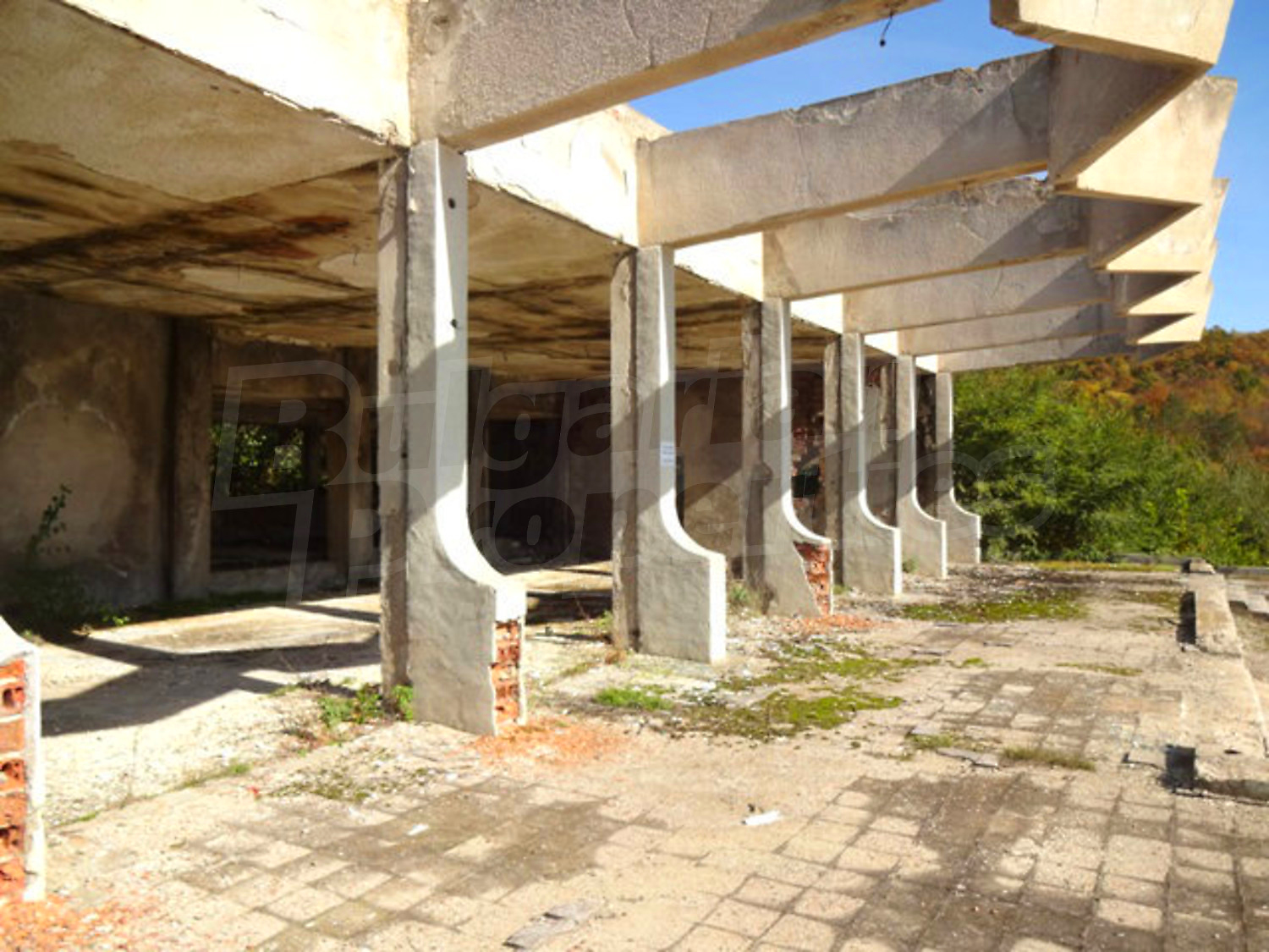 Gallery Picture 51