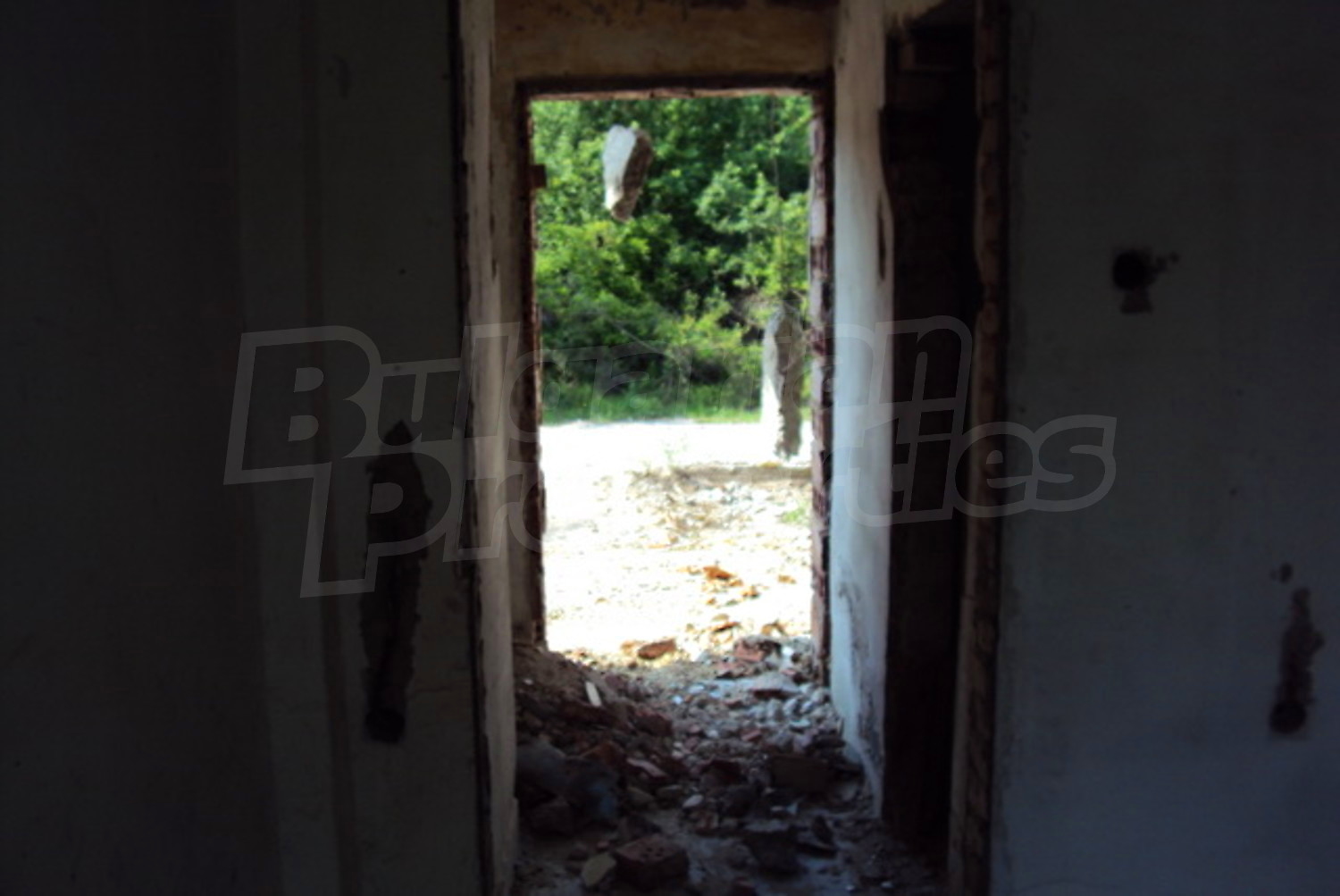 Gallery Picture 9