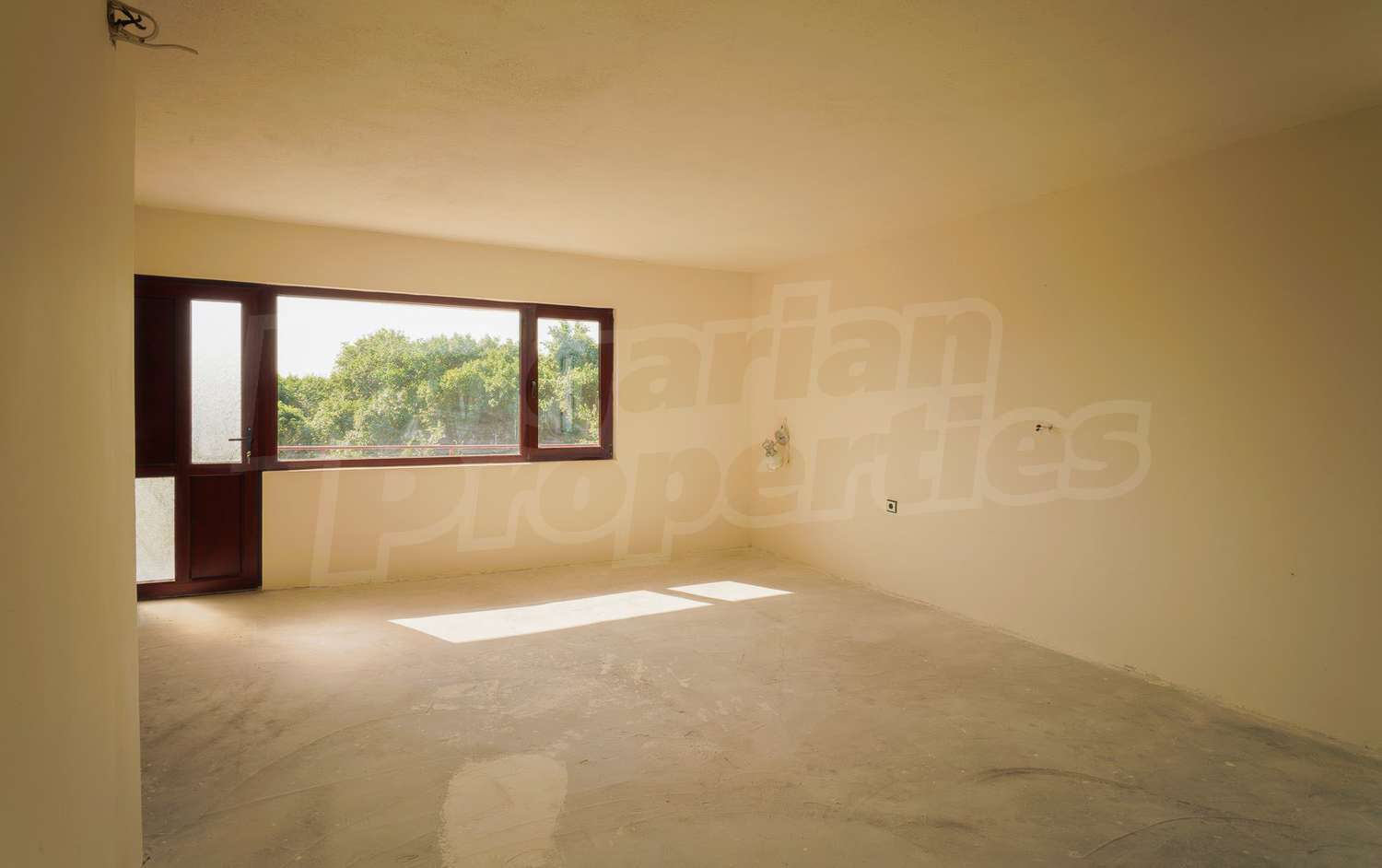 Gallery Picture 17