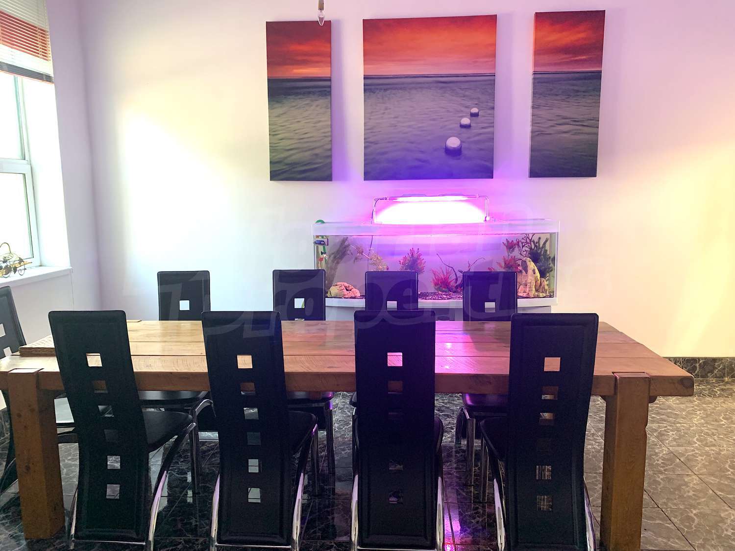 Gallery Picture 13