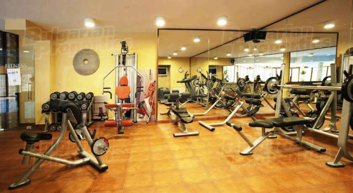Gallery Picture 24