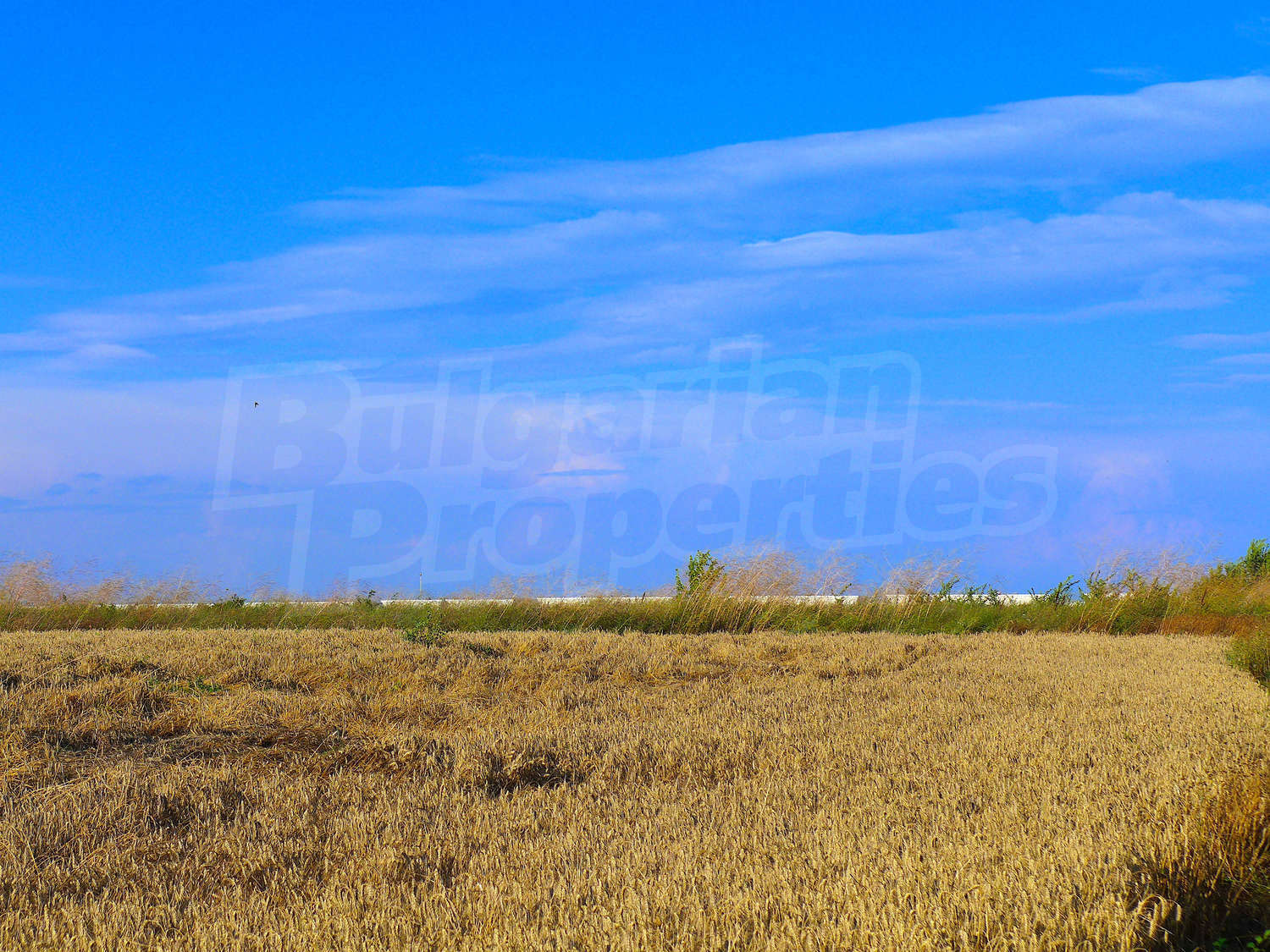 Gallery Picture 14
