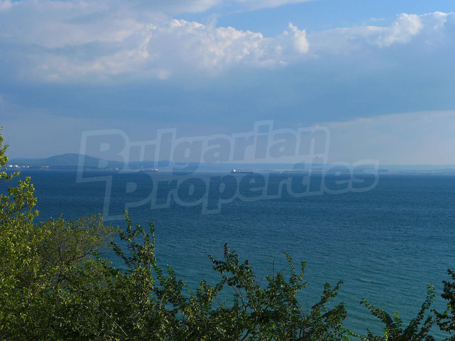 Gallery Picture 17