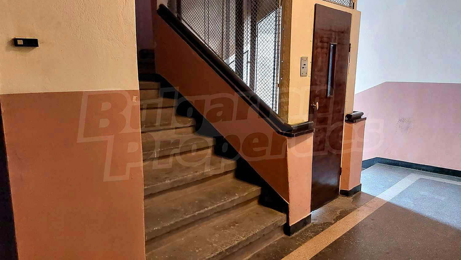 Gallery Picture 17