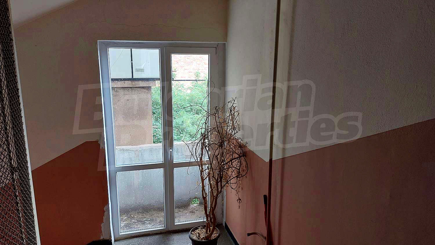 Gallery Picture 18