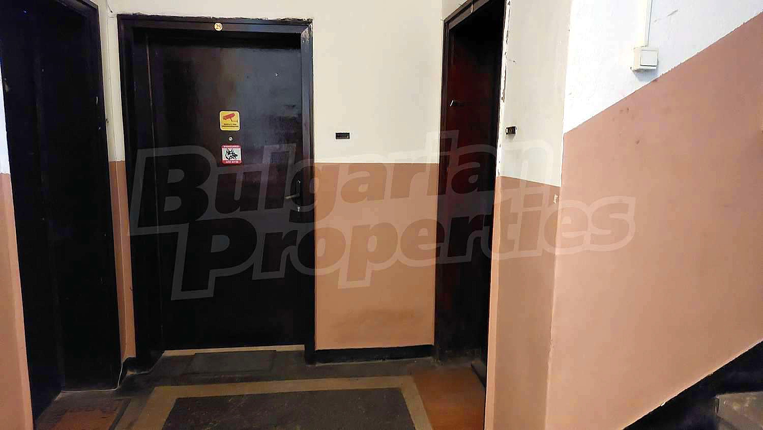 Gallery Picture 20