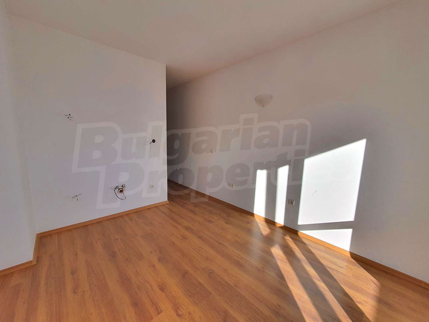 Gallery Picture 6