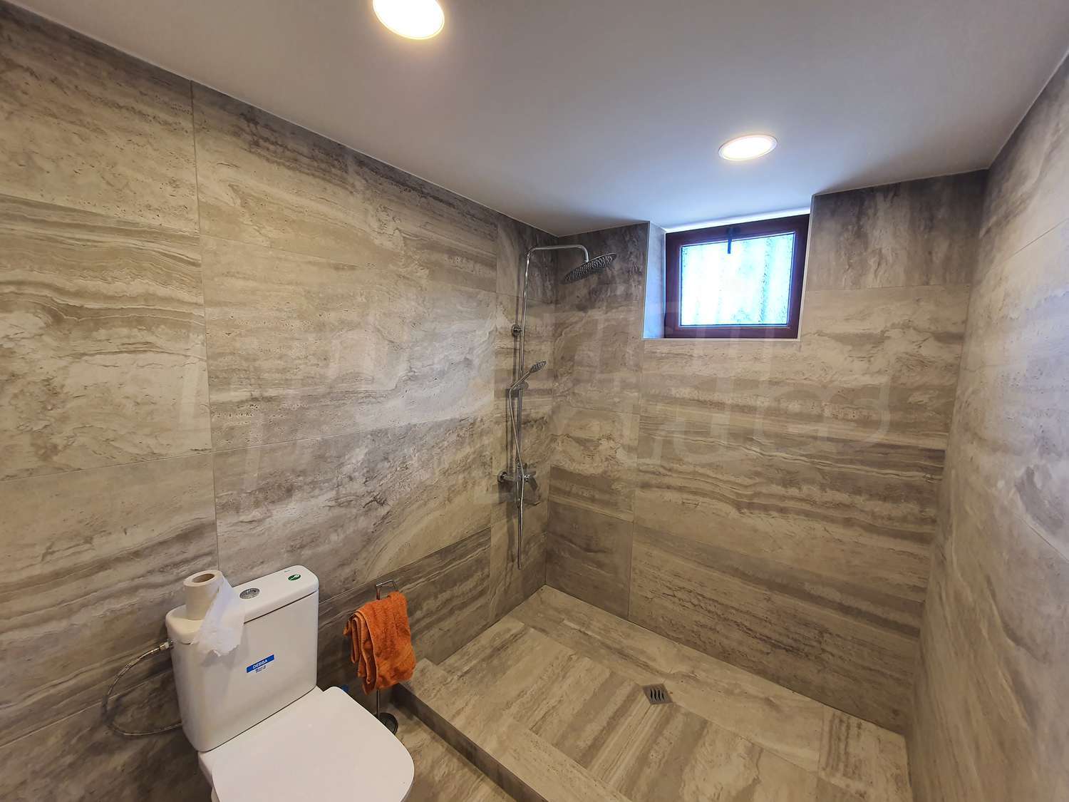 Gallery Picture 42