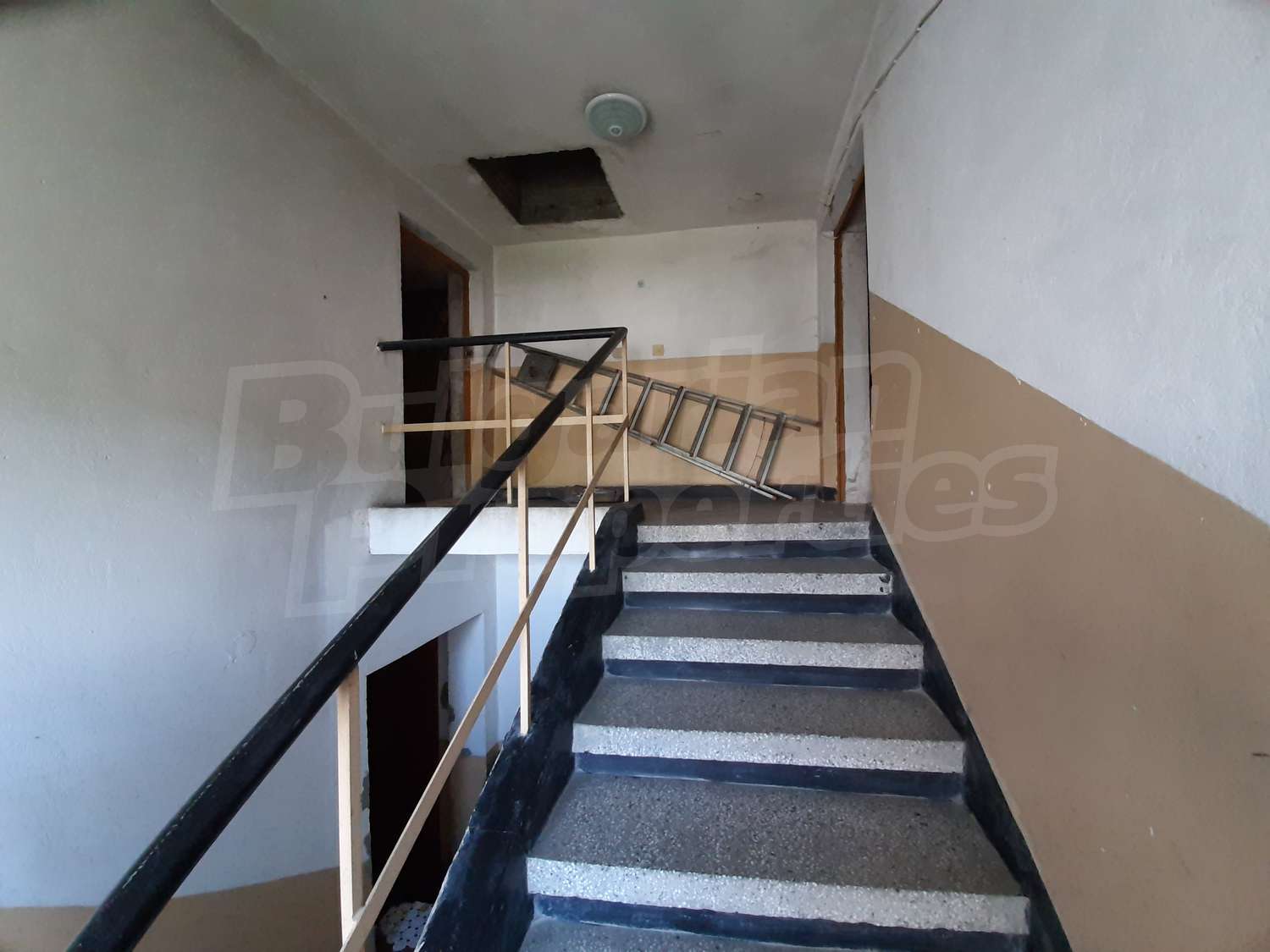 Gallery Picture 11