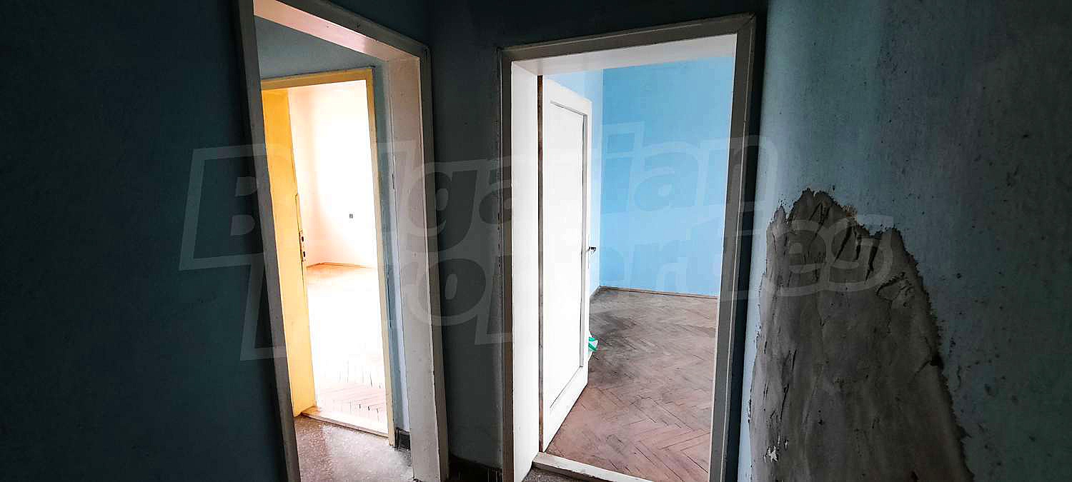 Gallery Picture 10