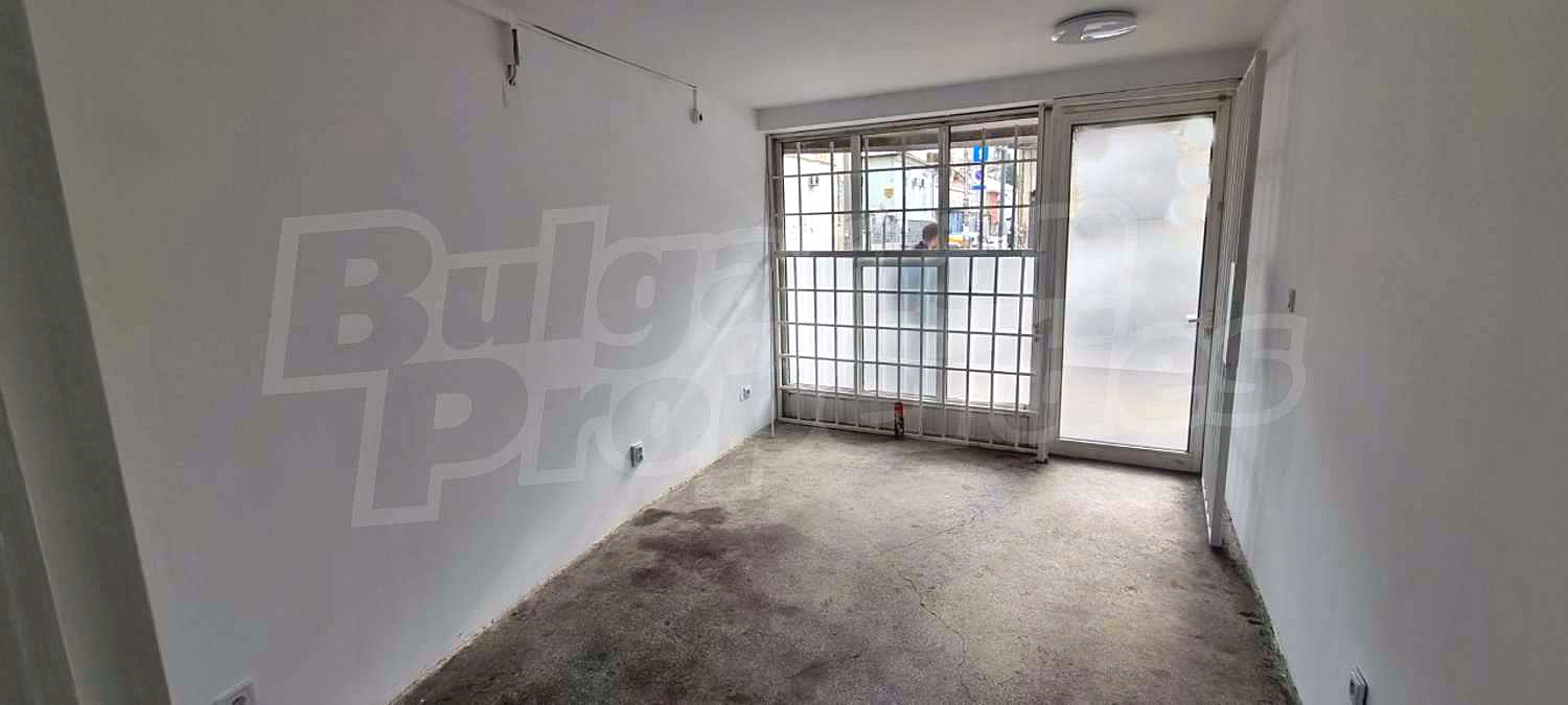 Gallery Picture 11