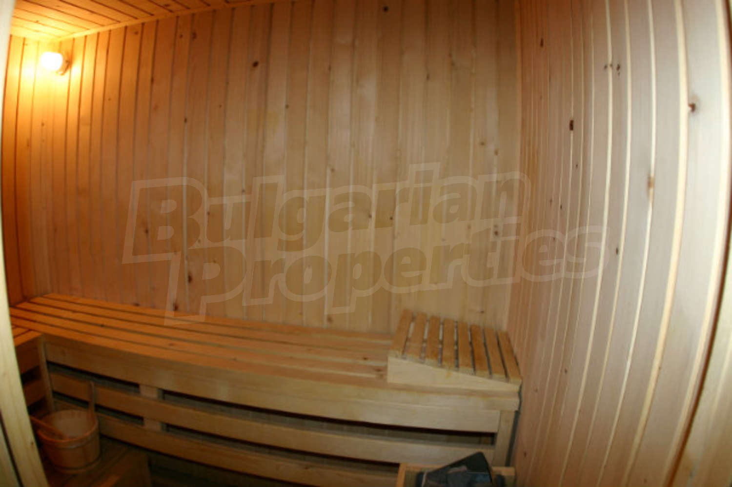 Gallery Picture 24