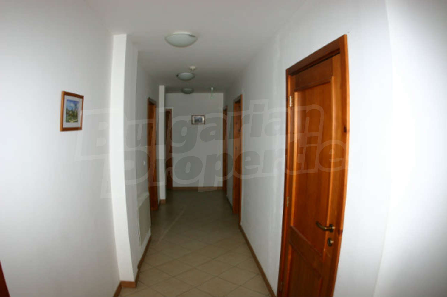 Gallery Picture 27