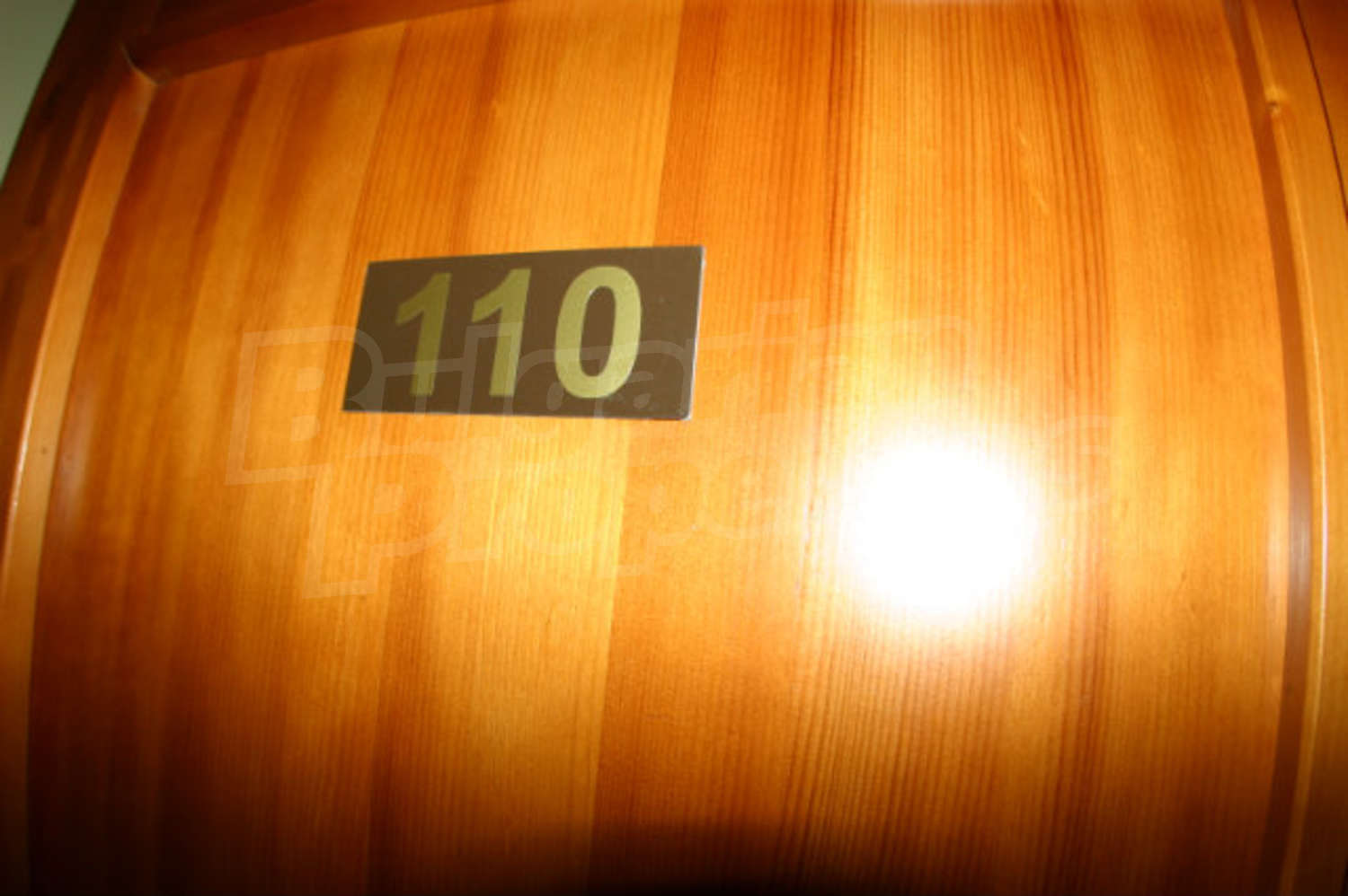 Gallery Picture 43